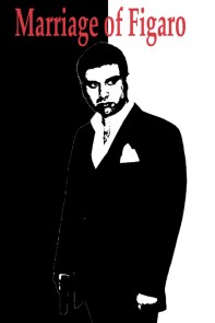 marriage of figaro small